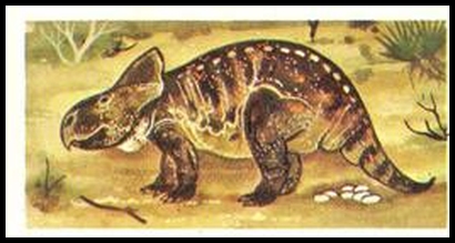 25 Protoceratops